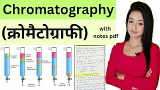 Cell biology (L-4),Chromatography bsc 1st year zoology in Hindi knowledge adda lion batch, zoology
