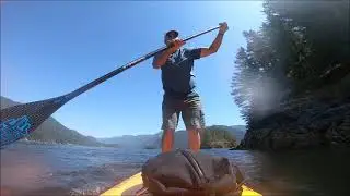 Paddleboarding in Indian Arm, BC July 2021