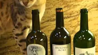 Lee Draper - Leon Draper Expensive Cat has Expensive Tastes Hundred Acre, Harlan Estate  Maiden !!!!