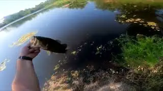 Best Bass Lure is Culprit Original Worm! #largemouthbassfishing #culprit
