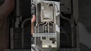1080TI Tr&acirc;u C&agrave;y ! #rtx #vga #pcgaming #evga3060 #nvidia #pcgami #vgagiare #pc