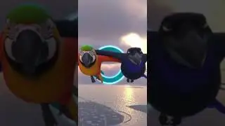 Parrot vs Crow &ndash; Sky Race 🦜🐦&zwj;⬛ | 3D Flying Battle | Epic CGI Flight