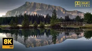 Nature Flow Dolby Vision 8K HDR  Video