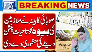 Provincial Cabinet Approves Lifetime Pension for Employees&rsquo; Widows | Lahore News HD