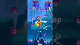 hungry Shark fishdom ads mini new update is all' level unlock 300000 levels