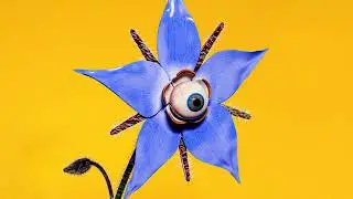 Barry Can't Swim - 'Sonder' (Official Audio)