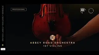 Abbey Road Orchestra 1st Violins - Please Raise Your Standards