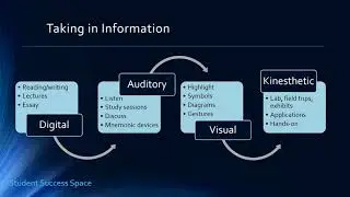 VARK: Applying the Fleming-Mills Learning Style