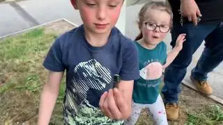 Geocaching milestone- 500 finds!