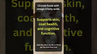 Omega-3 Benefits: Healthy Skin and Coat