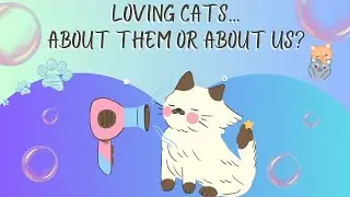 Cats, Dopamine & Purring: The Hidden Psychology Explained