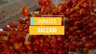 DOMATES SALÇASI