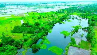 Relaxing Rice field | Truly amazing, the nature is beyond compare, worth seeing - Amazing Cambodia