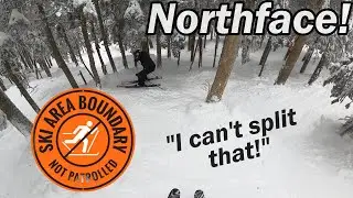 Mount Snow INSANE GLADES