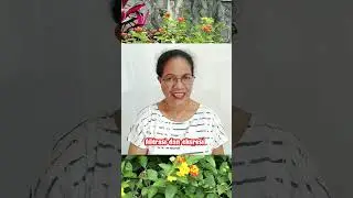 Apa yang terjadi jika ureum di tubuh tinggi #shorts