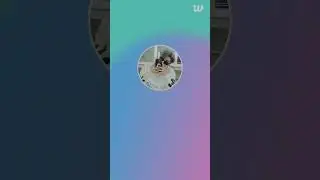 [ENG SUB]&TEAM WEVERSE LIVE (21.8.25)MAKI#maki #nicholas#maki#andteam#live