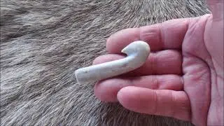 Crochet de propulseur d'El Castillo Puente Viesgo Cantabria Hook of Atlatl of El Castillo