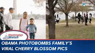 Obama Viral Photo | Obama Photobombs Family's Viral Cherry Blossom Snapshot