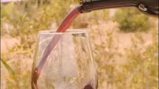 Descubren en milenarias vasijas el secreto del vino romano