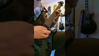 Sevenstring Sunday #riffage #deathcore #sevenstringguitar