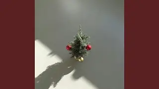 Advent Calendar Empty Behind Door Number Twenty-Five