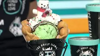Say Hello to the Dolly Llama!