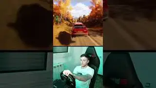 Librada 🤞🏼#nextlevelracing #caminracing #mitsubishi #evo #dirtrally2 #Gaming #simracing #viral