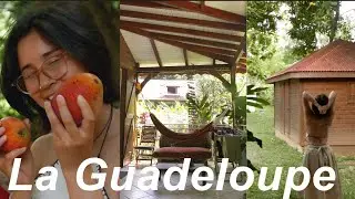 Slices of Life #4 [Guadeloupe] 🌴 experiencing the tropical island life 🌴