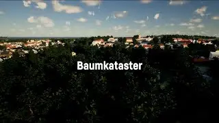 Erste Schritte in GeoVisual: Baumkataster
