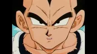 Yamcha Challenges Vegeta