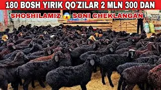 2 mln 300 mingdan QOʻZINI ZOʻRLARI KELDI 😱 SHOSHILAMIZ 