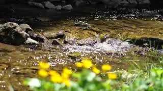Video Background Stock Footage Free ( A mountain river a flows in slow motion )