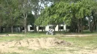 YZ 250 Braaappp Milton Caputti