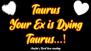 Taurus Tarot LOVE Reading December 2021 Your Ex is Dying Taurus...!