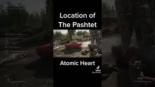 Weapon Location of the Pashtet Atomic Heart