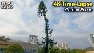 [4K Time-Lapse] Garden Scene (Wind, Water, Bird Relaxing Sound)