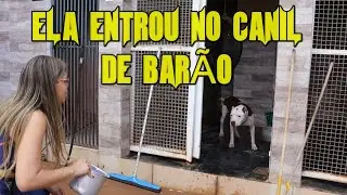 ELA ENTROU NO CANIL DO PITBULL BARÃO COM ELE SOLTO