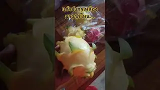 #อาหารไทย #food #onesoft #thailand #ดราก้อนบอล