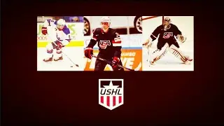 NHL 21 Custom Team: USHL Alumni