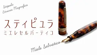 【万年筆レビュー】書いてみた！スティピュラ エトルリア マグニフィカ ミエレセルバーティコ　万年筆　Stipula Etruria Magnifica　Miele Selvatico