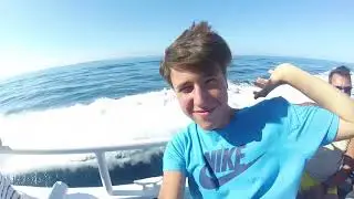 RIASSUNTO TRAILER  - VIAGGIO IN CORSICA IN STILE HUMAN SAFARI!!