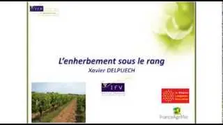 Nouvelles alternatives au d&eacute;sherbage chimique sous le rang : l'enherbement sous le rang