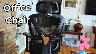 MALOL Ergonomic Mesh Office Chair with Adjustable Headrest, Lumbar Support, 4-Level Recline