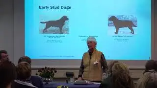 Marion Hopkinson talks about breeding