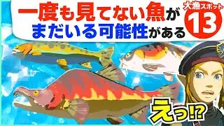 [攻略] 光る魚から雨限定まで！魚の大量発生スポット全１３種類 [ゼルダの伝説 ブレスオブザワイルド]