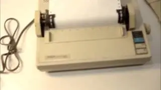 Как распечатать страницу самодиагностики принтера Epson Action Printer T-1000 P70RA
