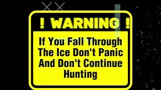 Hens and Hypothermia! #germanshorthairedpointer #hunting #publiclandhunt #outdoors #pheasanthunting