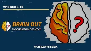 Разбудите сову. 10 уровень игры Brain Out