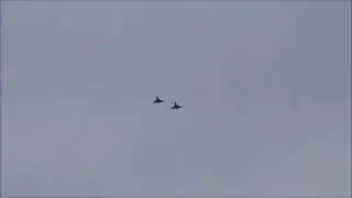 4x Eurofighter Typhoon - Arrivals at Norvenich Air Base