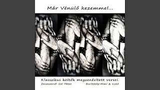 Csodaszarvas (feat. Kalap&aacute;cs-&Oacute;dor Cintia)
